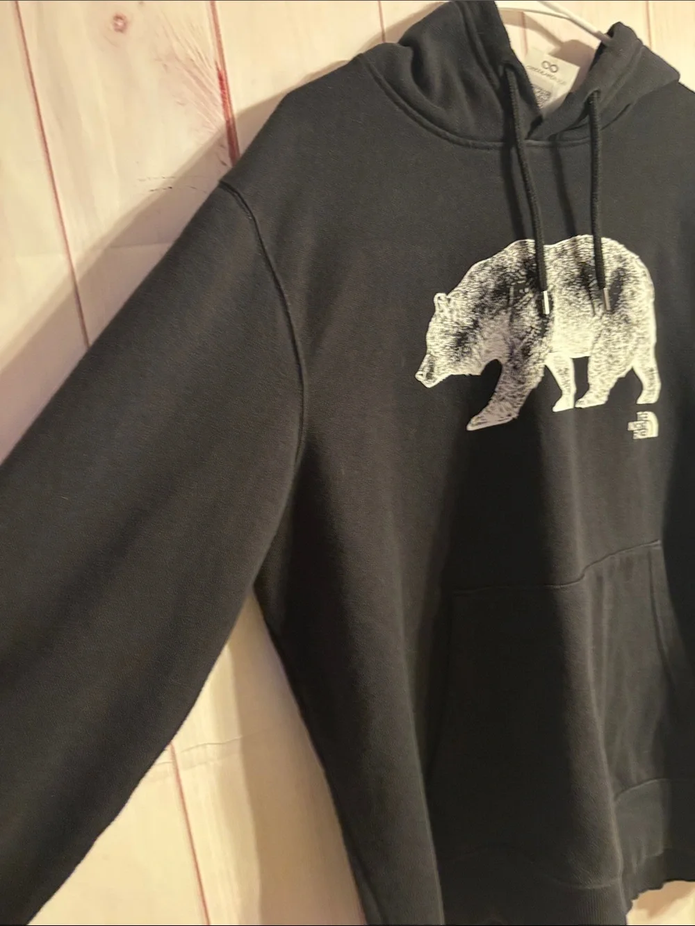 The North Face Men's Bear On The Move Standard-Fit Printed Hoodie | X-Large